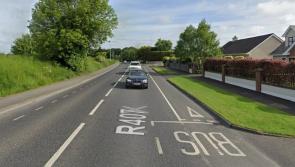 ‘No scope’ to undertake landscaping plan along road in North Kildare 