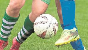 GAA Club seeking to turn field in Naas, County Kildare into grass playing pitch