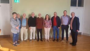 Painting commissioned by Bruce Sprinsteen's cousin to be unveiled in County Kildare