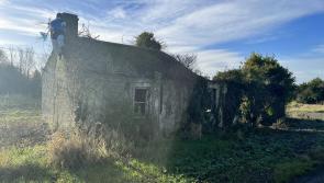 PHOTOS: Ramshackle Kildare house  for €235k - but there's a very good reason for the high price!