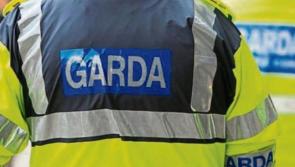 North Kildare man fined for verbally abusing gardaí in Kildangan 