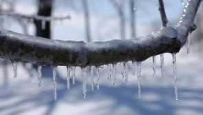 KILDARE ALERT: Met Éireann issues Weather Warning as cold snap is set to continue