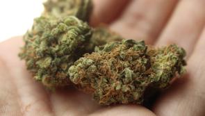 Barrister claims that cannabis has contributed to Kildare court defendant's mental health issues