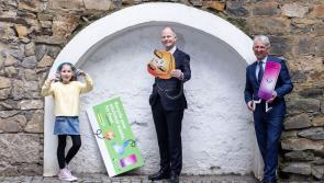 Householders in County Kildare urged to tackle hoarding of electrical waste