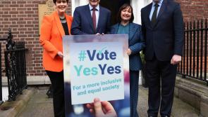 Kildare Senator calls for ‘Yes-Yes’ vote in March referenda