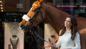 Kildare racing: Boodles to sponsor &euro;300,000 Grade 1 Champion Hurdle at Punchestown