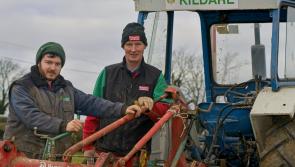 PICTURES: Great turnout as Kildare Ploughing Association host Ploughing match