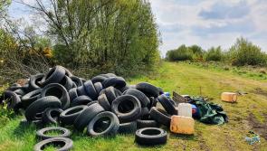 'Lets use cameras to put a stop illegal dumping'