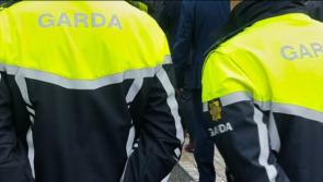 Property in rural area of North Kildare was subject of burglary, according to gardaí