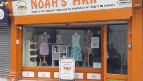 Kildare animal charity to host Pop-Up Fashion Shop in Kilcullen