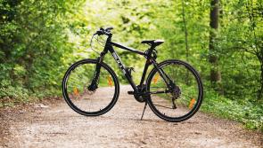 No plans for bike repair stations on the Royal Canal Greenway, Kildare County Council says