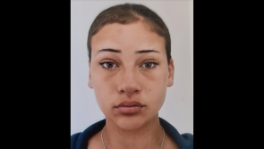 Have you seen Ellen? Gardaí seek information on missing teenager