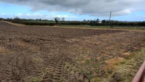 County Kildare-based farmers are nearly the very best off in the country