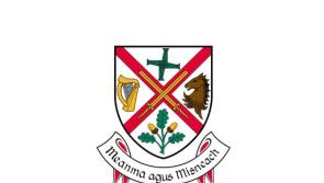 Footpath works in this Naas MD region commence today