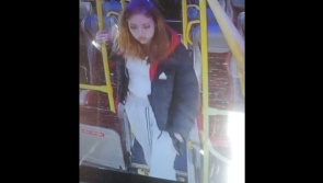 Garda&iacute; renew appeal to find teenage girl amid concern for her welfare