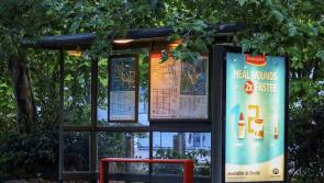 ‘Challenging’ to install bus shelters at Dag Welds Cross — Kildare County Council