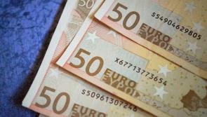 ‘Additional money is needed for housing grants urgently’, Kildare Senator says