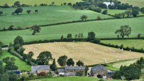 Kildare County Council release guidance on silage effluent management