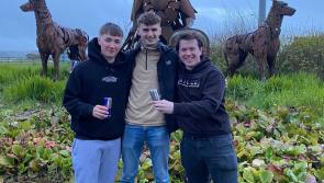Locked, loaded and caffeinated: Kildare trio to travel across Europe as part of Red Bull's ‘Can You Make It?’ challenge