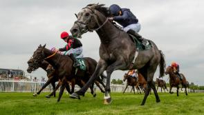 Free entry at Naas Royal Ascot Trials Day this Sunday
