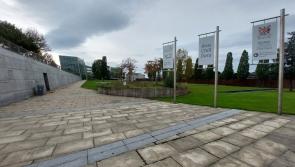 Vehicles left abandoned in estates must be removed, Kildare-Newbridge Mayor says