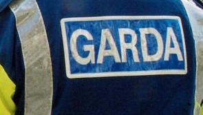 Two juveniles arrested by garda&iacute; over North Kildare incidents