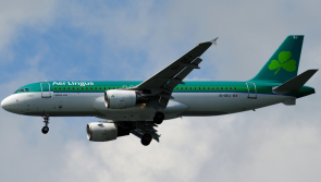 BREAKING: Over 100 Aer Lingus flights to and from Ireland cancelled on day of strike