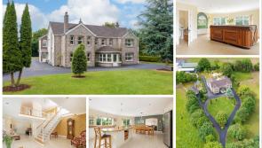PICTURES: €1m price tag for Kildare mansion with hot tub, sauna, art studio and much more