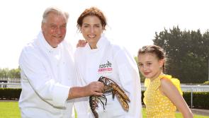 Food lovers to indulge in flavours at Kildare culinary festival 

