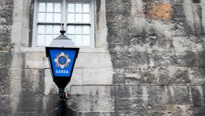 Woman arrested after firework is thrown at childcare facility in Dublin