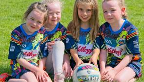 IN PICTURES: Young GAA stars at Cúl Camp at Eadestown GAA Club 
