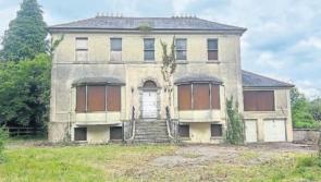 Kildare Cllr urges government to secure Newbridge site for educational campus