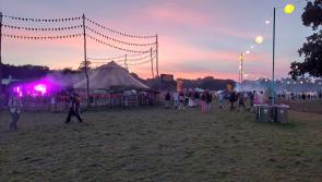 Electric Picnic organisers announce ban of single use vapes