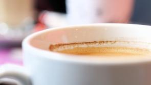Drive-through café in Kildare sustains €3,000 worth of damages following burglary