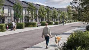 Plans lodged for 42 new homes in Athgarvan 
