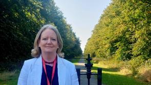Kildare Cllr calls for new pedestrian crossing to be installed