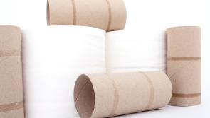 Man ordered to pay €1,000 for breaking €20 toilet seat in County Kildare
