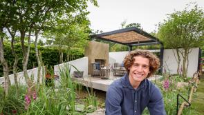 First-time Kildare show garden designers sought for Bord Bia Bloom