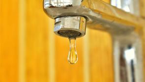 Essential works to commence in Allenwood to deliver a 'more reliable water supply'