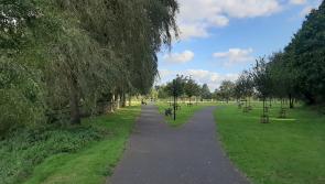 Newbridge Linear Park and the Zero Waste Community Garden in Rathcoffey awarded green flags