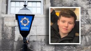 Search for missing 13-year-old girl stood down as garda&iacute; issue update