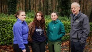 Kildare Student secures inaugural Coillte Forestry Scholarship as 2025 programme launched