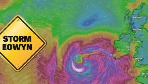 STORM EOWYN: Kildare on alert as Met Eireann warns of destructive winds as serious warnings issued