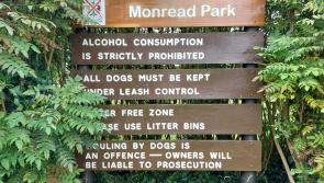 Anger over six year wait to upgrade Kildare public park