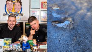 'You're as well off getting a helicopter' - 2 Johnnies name Kildare road as worst in Ireland