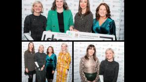Kildare ranks top 5 in Ireland for number of business women 