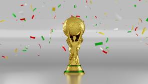 Two leading Kildare organisations named as finalists for top awards