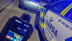 You won't believe the reason gardaí stopped this unaccompanied learner driver...