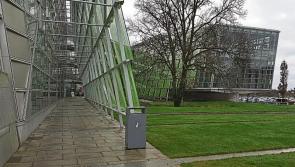 Maintenance works and repairs sought for land owned by Kildare County Council