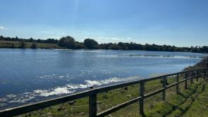 Kildare people asked for views on new public park beside River Liffey 